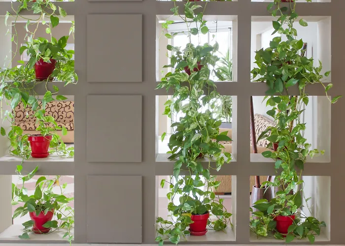 Szálloda Pradillo Conil